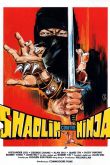 Шаолинь против ниндзя 1983