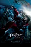 Гарри Поттер и Кубок огня 2005