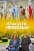 Красота небесная 2021