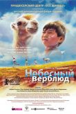Небесный верблюд 2015