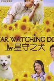 Пёс, смотрящий на звезды 2011