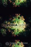 Коронавирус. Все, что нужно знать 2020