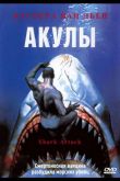 Акулы 1999