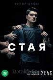 Стая 1 сезон 2022