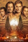 Сверхъестественное 2005