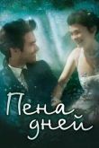 Пена дней 2013
