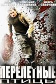 Перелётные птицы 2014