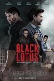 Черный лотос 2023