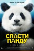 Спасти панду 2020