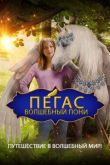 Пегас: Волшебный пони 2019