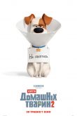 Тайная жизнь домашних животных 2 2019