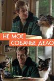Не моё собачье дело 2020
