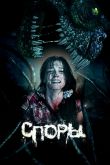 Споры 2011