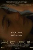 Пальмы и линии электропередач 2022