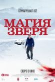 Магия зверя 2019