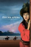 Песнь древа 2018