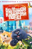 Большой кошачий побег 2018