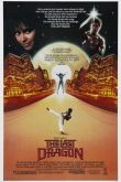 Последний дракон 1985