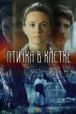 Птичка в клетке 2020