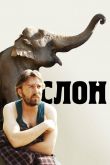 Слон 2010