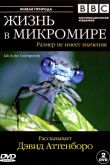 BBC: Жизнь в микромире  1 сезон 2005