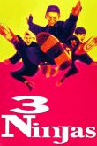 Три ниндзя 1992