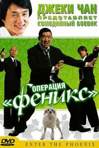 Операция «Феникс» 2004