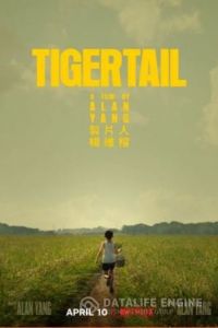 Хвост тигра